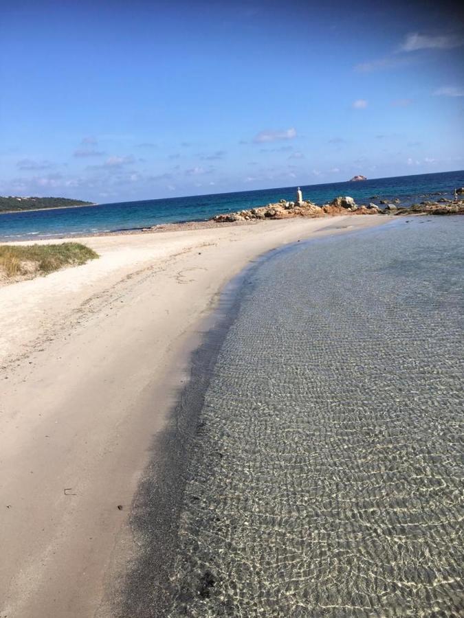 Apartament La Corse Les Pieds Dans L'Eau Pinarellu Zewnętrze zdjęcie